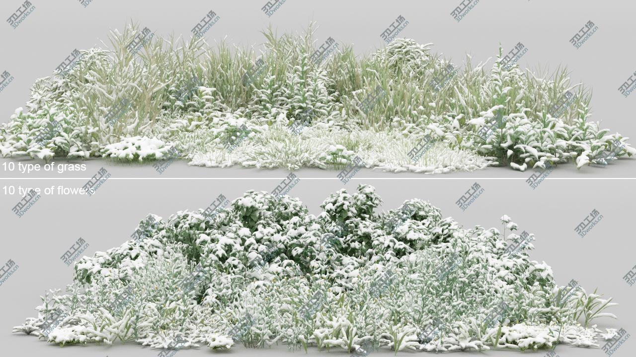 images/goods_img/2021040231/3D 20-20 Ground Plants/5.jpg